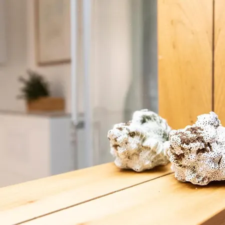 Sonnenkieker Apartment